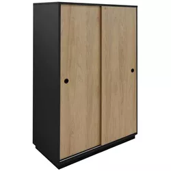 купить Офисный шкаф Deco Birou cu usi glisante (1154x1000x480) в Кишинёве 