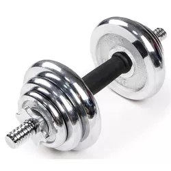 купить Гантель 4Play Disassembled 1х15Kg в Кишинёве 