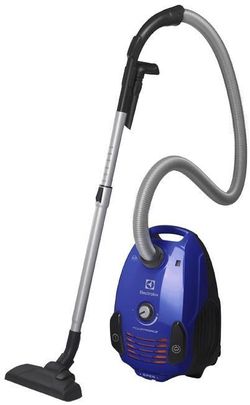 cumpără Aspirator cu sac Electrolux EPF62IS în Chișinău