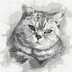 Картина для рисования по номерам Зеленоглазый взгляд 30x30 см 4200