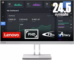 cumpără Monitor Lenovo L25e-40 în Chișinău 