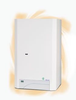 Котел THERM DUO THERMONA 50 T