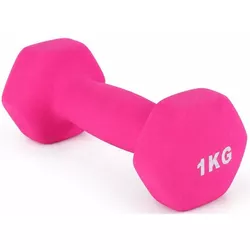 купить Гантель 4Play AT115 1.0kg в Кишинёве 