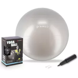 cumpără Minge HMS 4823 Minge gimnastica d=65cm cu pompa Gray YB01 (17-42-161) în Chișinău 