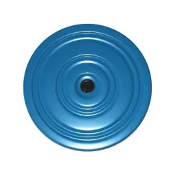 купить Спортивное оборудование Arena диск вращающийся,металлич 83071BL синий в Кишинёве 