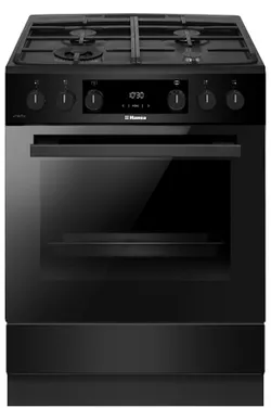 купить Плита кухонная Hansa FCMM693291 в Кишинёве 