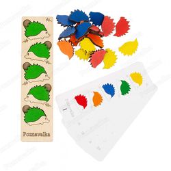 Aricii colorați