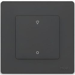 купить Выключатель электрический Moes ZS-SR-EUD1-GY-MS в Кишинёве 