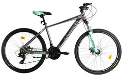 купить Велосипед Crosser SOLO 29" 19 21S Shimano+Logan Hidraulic/29" 075-C-19 Grey/Green N1R7-R2 в Кишинёве 