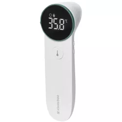 cumpără Termometru Kikka Boo 31303040122 Mint (fara contact) în Chișinău 