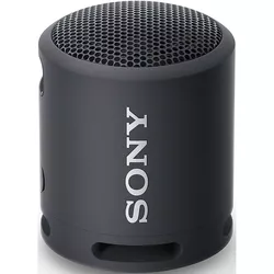 купить Колонка портативная Bluetooth Sony SRSXB13B в Кишинёве 