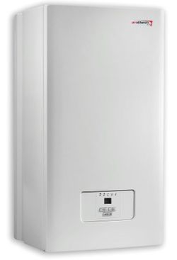 Электрический котел Protherm Ray 12 КR 13