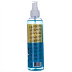 Cleaning  liquid for windscreens PATRON "F3-003", Spray 250 ml