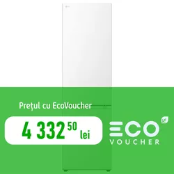 купить Холодильник с нижней морозильной камерой LG GBV3200DSW в Кишинёве 