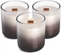 купить Свеча TAGU CandlePlace 3 cu trosnet si miros de semineu в Кишинёве 