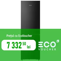 cumpără Frigider cu congelator jos Hisense RB5K330GSFC în Chișinău 
