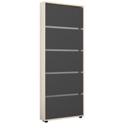 купить Полка для обуви Mobildor-Lux Leo Slim 50x16x203H cm Sonoma/Anthracite в Кишинёве 