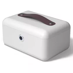 cumpără Safeu de mobilier Deli DLAE200, 140х280х190мм (для ювелирных изделий) în Chișinău 