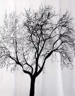 купить Занавеска для ванной Bisk 04440 TXT TREE arbore negru180x200 в Кишинёве 