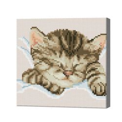 Спящая кошка, 20x20 см, алмазная мозаика