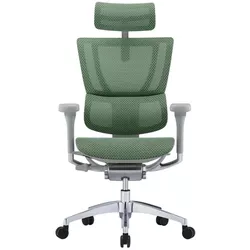 купить Офисное кресло ART Mirus IOO Elite 2 Green T-168-B6 IOOE2-AG-HAM-5D-L в Кишинёве 