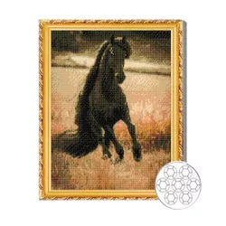 купить Картина по номерам Art Gallery GA80139 Mozaic cu diamante 40x50cm Cal negru in camp в Кишинёве 
