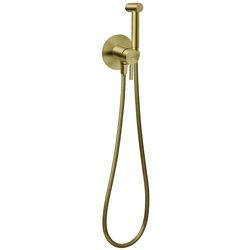 cumpără Baterie pentru bideu Ferro Ciriculus gold BCK66PBG (dus igienis) în Chișinău 