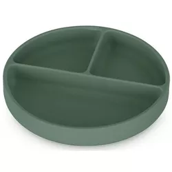 купить Посуда для кормления Petite&Mars 715817 Farfurie compartimentata din silicon Take&Match Misty Green в Кишинёве 