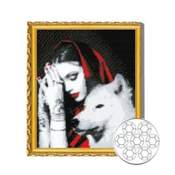 купить Картина по номерам Art Gallery GB86132 Mozaic cu diamante 30x40cm Fata si lupoaica в Кишинёве 