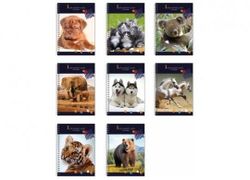 Caiet cu spira A5 80foi The Animals World