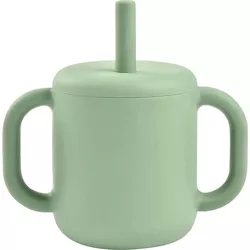 купить Поильник Beaba B913573 Cana de antrenament cu pai din silicon Sage Green в Кишинёве 