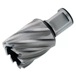 купить Сверло Makita HB-20S Burghiu inelar scurt 20x25mm HB500 в Кишинёве 