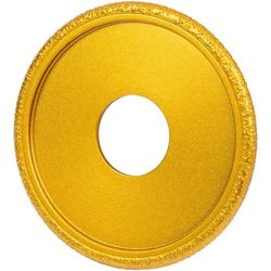 cumpără Disc de șlefuire Raider 209948 Disc abraziv diamantat (cupa) 75x22,23x5mm în Chișinău 