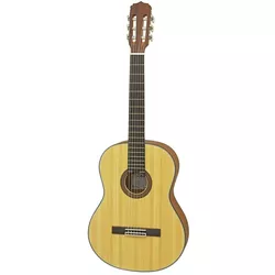 cumpără Chitară Aria A-10 MTN Chitara Classic în Chișinău 