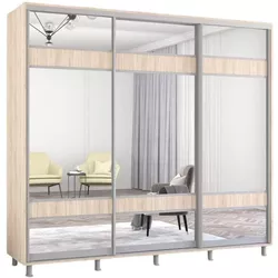 купить Шкаф Mobildor-Lux Aron uși glisante din PAL cu oglindă zebra (250x60x200H cm) Sonoma в Кишинёве 