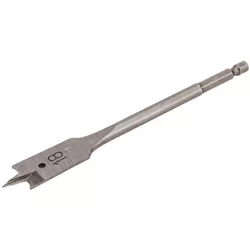 cumpără Burghiu Milwaukee 4932363137 Burghiu pentru lemn cu prindere 1/4Hex 19x152 în Chișinău 