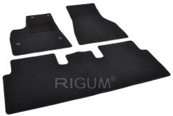 купить Коврик для автомобиля Rigum Tesla Model S 2012- -/ в Кишинёве 