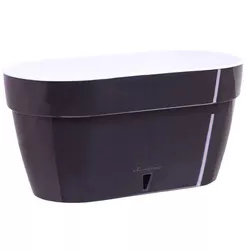 cumpără Ghiveci pentru flori Santino Jardiniera Asti 300 (5.2L, Antracit/Alb) în Chișinău 