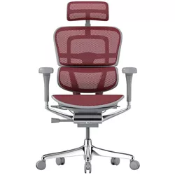 купить Офисное кресло ART Ergohuman Elite 2 Scarlet T-168-B3 EHE2-AG-HAM-5D-L в Кишинёве 