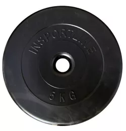купить Гантель inSPORTline 13116 Disc d=30 mm ciment 5 kg IN3553 в Кишинёве 