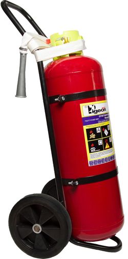 cumpără Accesoriu auto Pigeon Огнетушитель ОП-50 (35кг) în Chișinău 