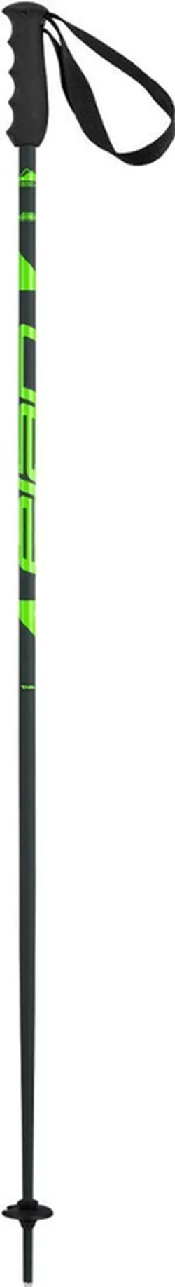купить Лыжные палки Elan SPEED ROD green 115 (CD531623 115) в Кишинёве 