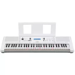 купить Цифровое пианино Yamaha EZ 300 в Кишинёве 