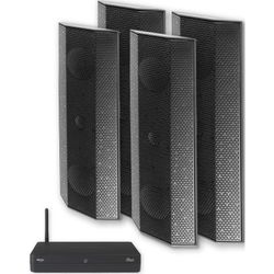 купить Колонки Hi-Fi LitheAudio 3.0 Wireless Surround Sound Cinema Kit With WiSA Cinema Hub (B-IO1-W-30CH-B) в Кишинёве 