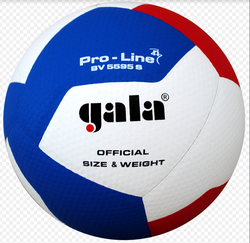 Мяч волейбольный Gala Pro-Line NEW 5595 (8999)
