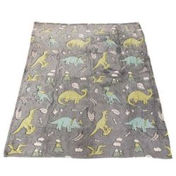 cumpără Lenjerie de pat pentru copii Toi-Toys 35562A Pătură pentru copii care luminează în întuneric, cu dinozauri în Chișinău 