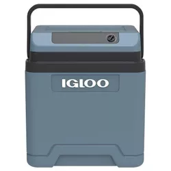 купить Холодильник портативный Dometic IE24 DC в Кишинёве 