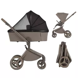 купить Детская коляска Anex FL-03 Carucior 2in1 Flo Yuki в Кишинёве 