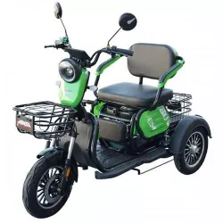 купить Электроскутер Minsk Electro MSD-025989 600W 60V 20Ah в Кишинёве 