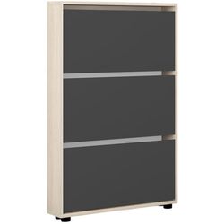 купить Полка для обуви Mobildor-Lux Leo Slim 50x16x125H cm Sonoma/Anthracite в Кишинёве 